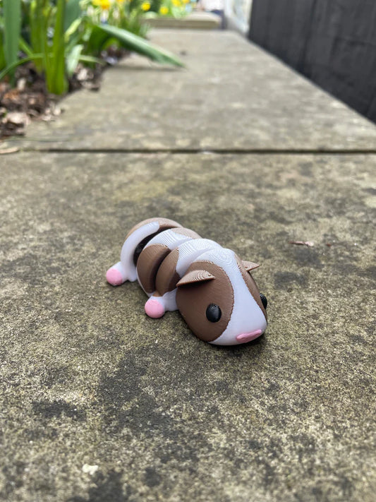 WIGGLERZ - Gary the Guinea Pig